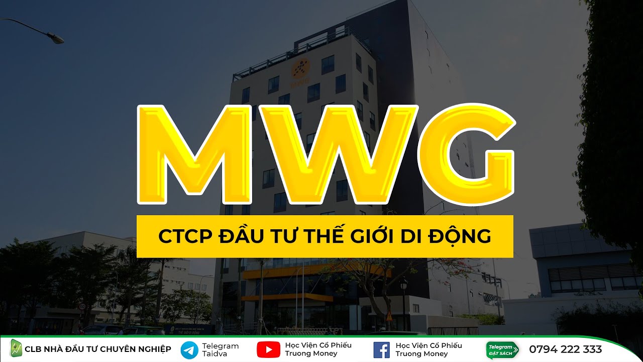 Công ty cổ phần đầu tư Thế Giới Di Động (MWG)